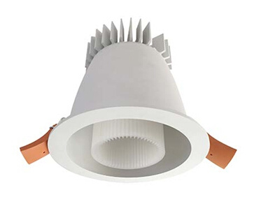 LED Down Light