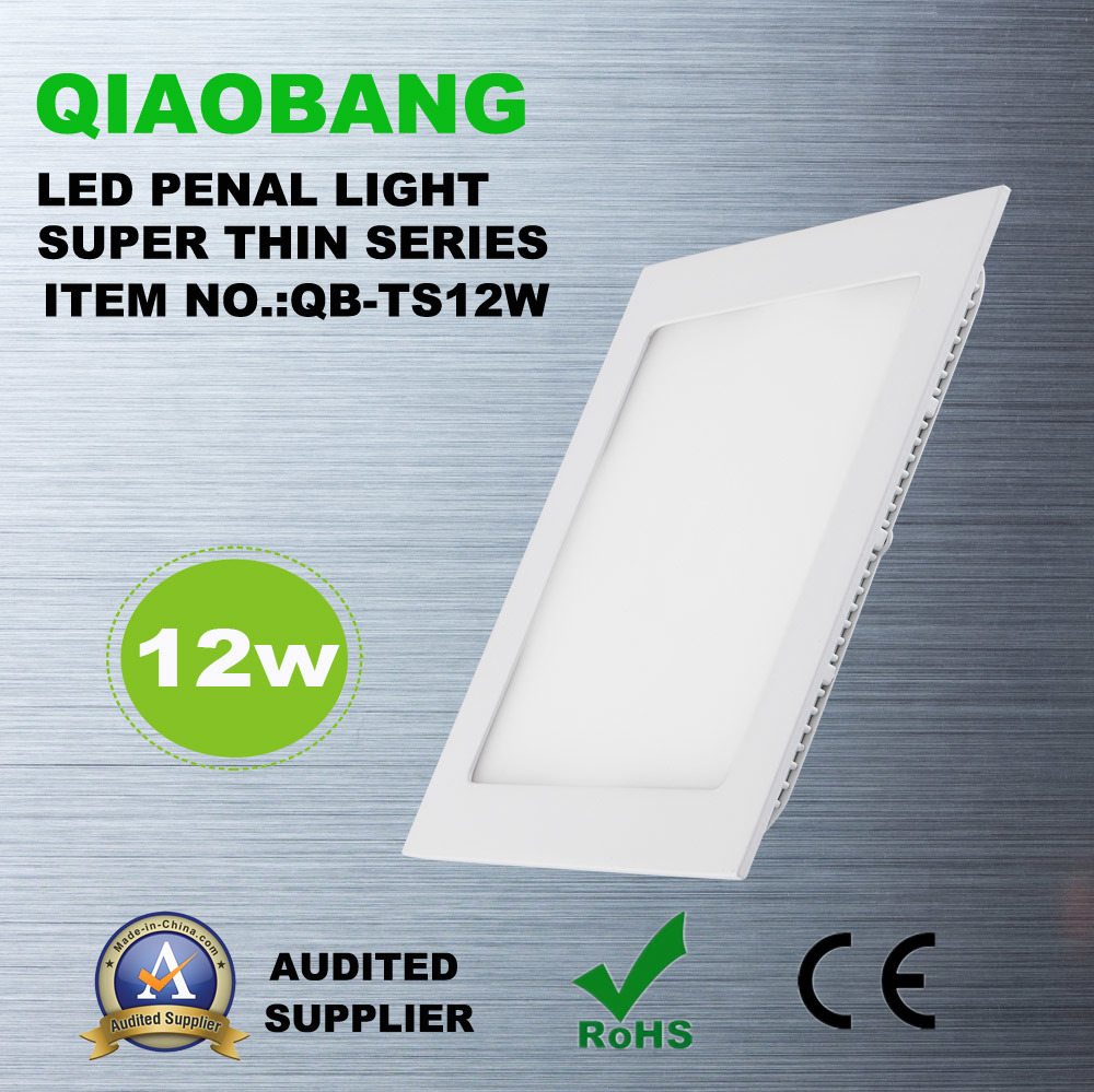 Ultra-Thin LED Ceiling Light with 12W (QB-TR12W)