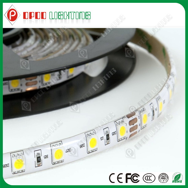 5m 5050 LED Strip Light