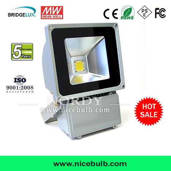 60W High Performance Outdoor RGB LED Flood Light