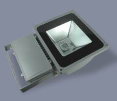 IP65 Outdoor Lighting LED Flood Light (MF-TGD-025)