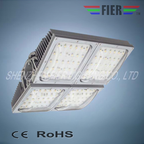 Newly 120w High Power LED Street Light (FER105)