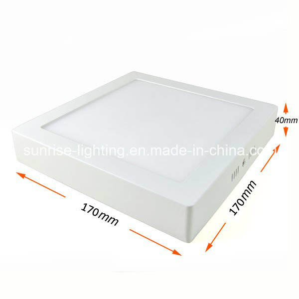 Round Mounted 12W LED Ceiling/Ceiling Lamp/Light