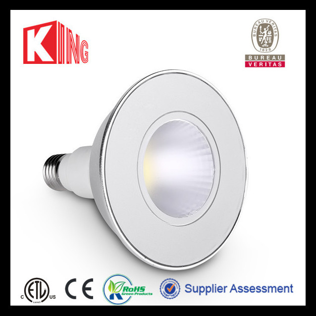 High Lumen 10W Waterproof LED PAR30