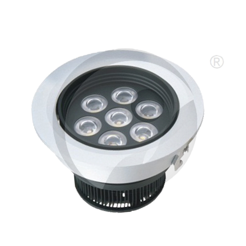 High Quality Ceiling Light, LED Down Light