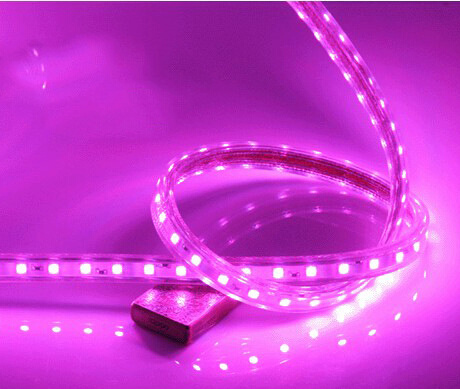 LED Rope Light - High Voltage Rope Light, Strip Light