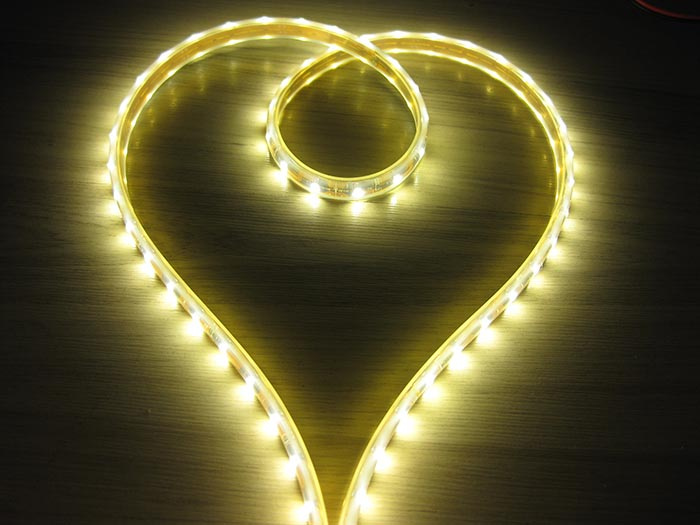 SMD3528 Flexible LED Strip Light Waterproof IP68