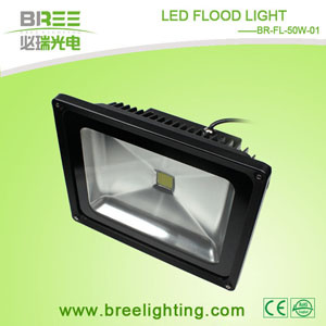 Christmas Outdoor Floodlight (BR-FL-50W-01)