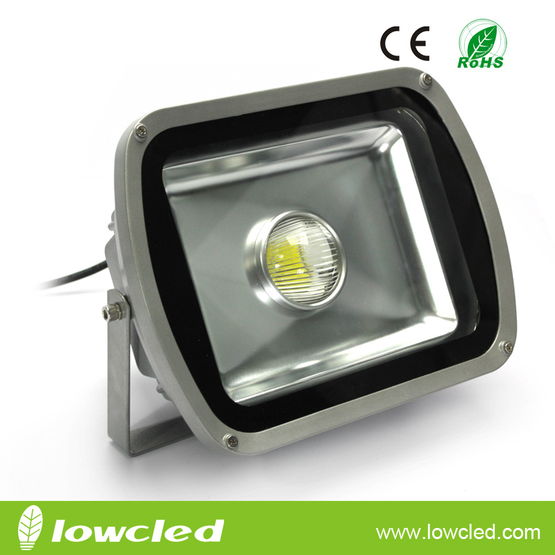 Bridgelux Meanwell 60W IP65 LED Flood Tunnel Light