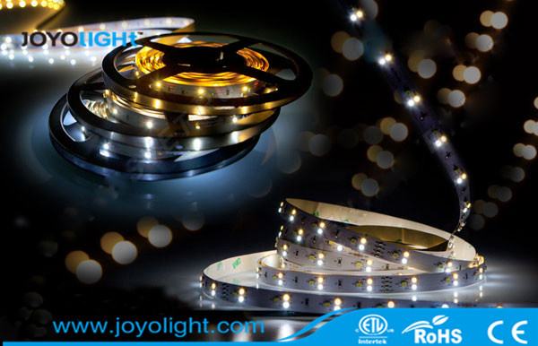 Different Chip Ww+W+Cw 3528 LED Strip Light