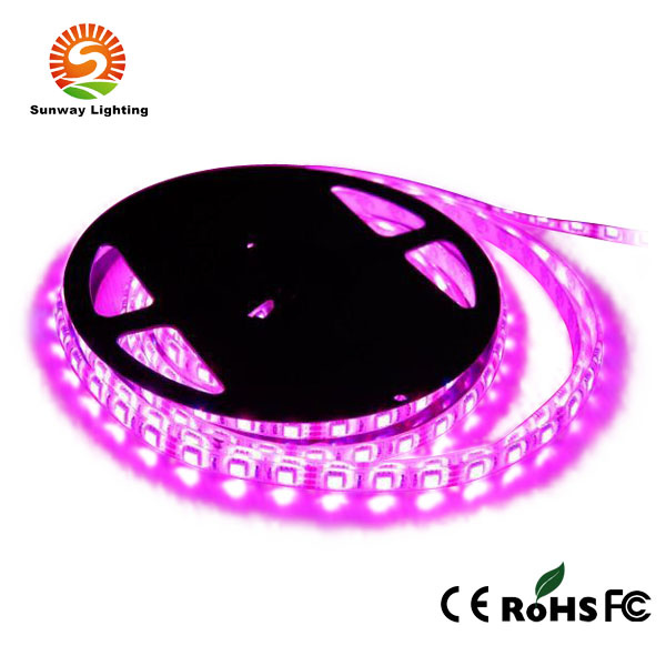 Colored Waterproof 5050 RGB LED Strip Light
