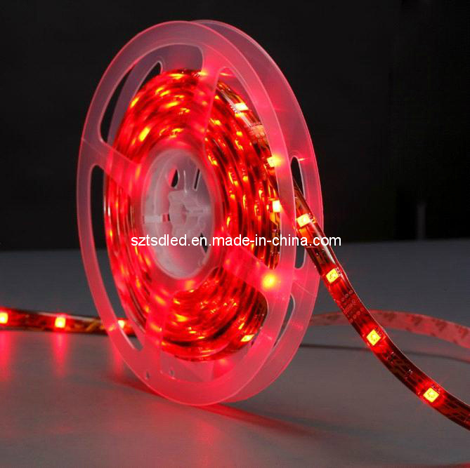 Waterproof IP65 24V 5050 LED Strip Lights