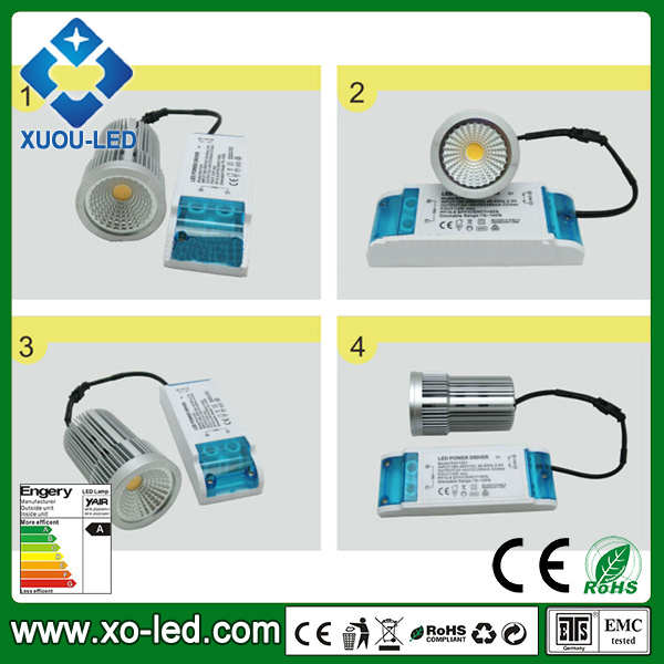 COB 10W LED Spotlight with CE SAA Approval External Driver and High CRI