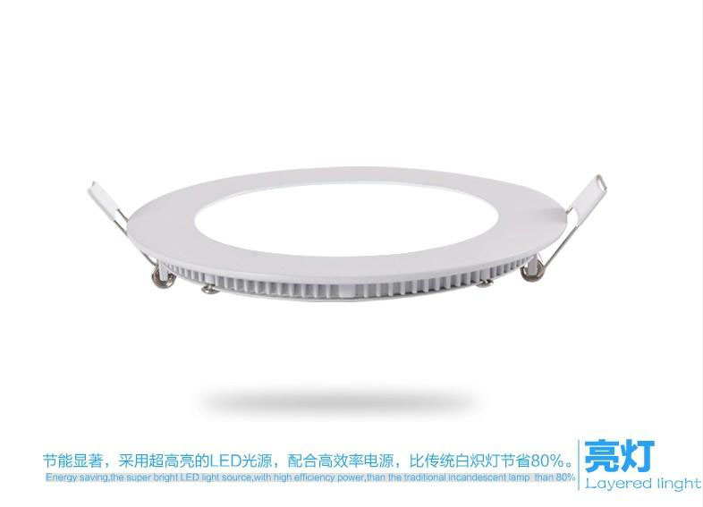 Round LED Panel Down Light (TJ-PAL-012-9W)