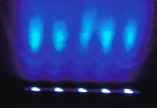 LED Wall Washer (DF-WW-18X1)