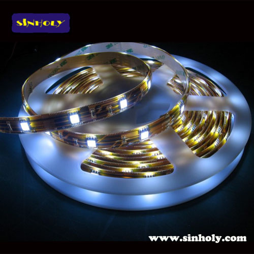 LED Strip Light 30ea/M 5050 IP67 (XHY-5F3-01)
