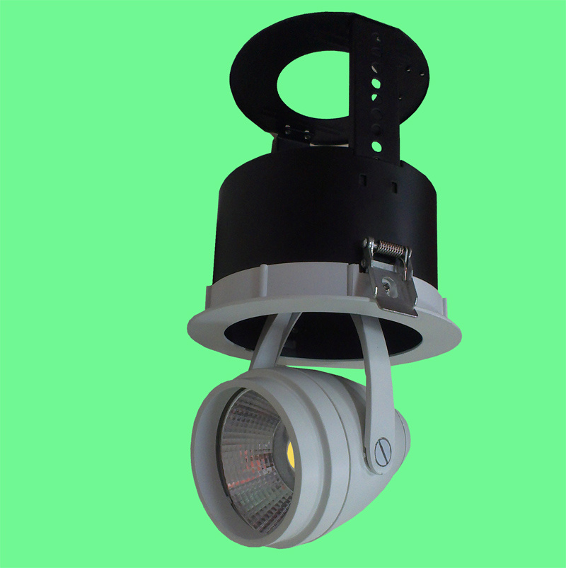 Adjustable and Rotatable LED Down Light