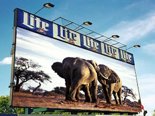 Full Color Advertising LED Display of P10 Outdoor
