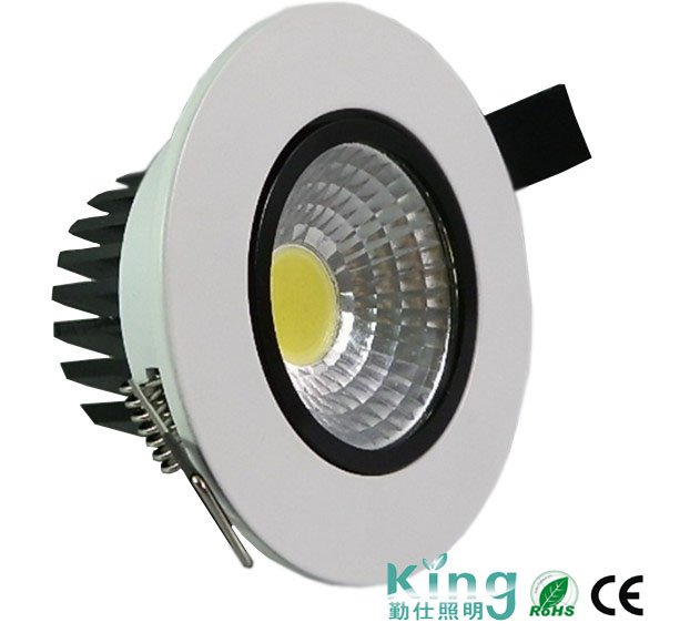 LED COB Ceiling Light
