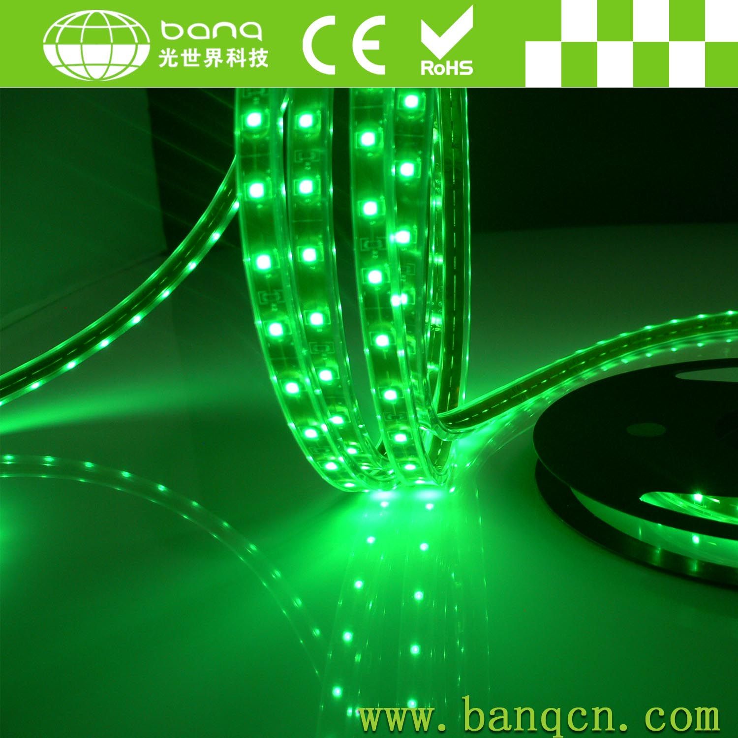 The Brightest 3528/5050/5630SMD LED Strips Light