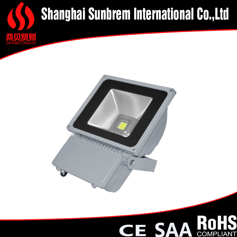 100W COB LED Spotlight LED Flood Light