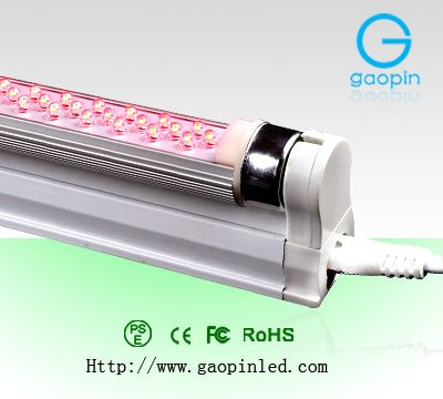 T5 LED Tube Light