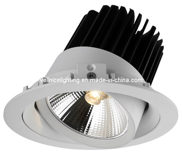 22W Small Beam Angle High Power LED Down Light (R3B0221)