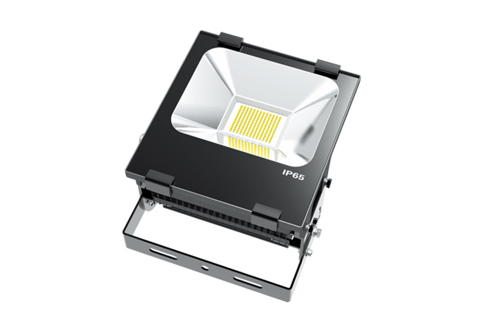 Outdoor LED Flood Light Fl100W-310pah-a