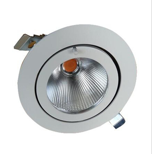 20W COB LED Down Recessed Light (TJ-XBL-1-20)