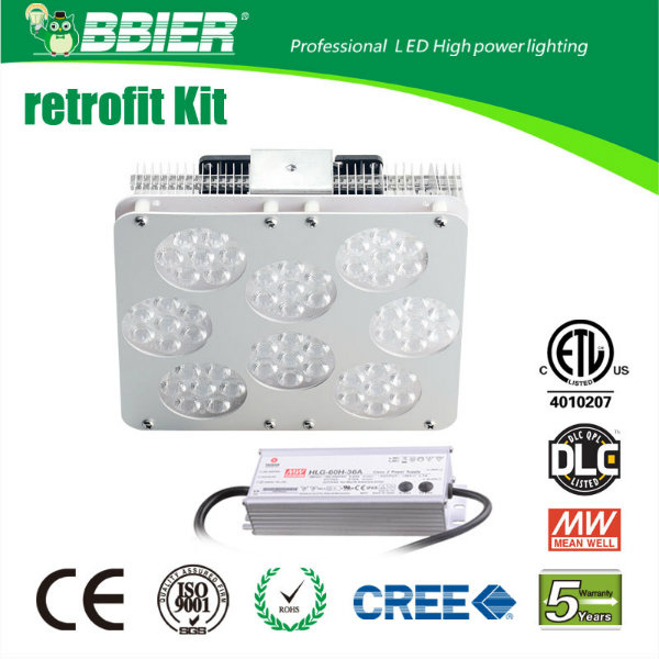 Super Bright LED Garden Light with ETL (BBSDD-100W)
