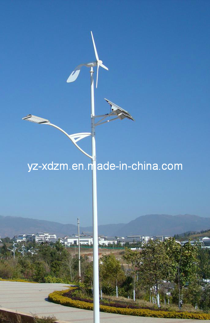 Solar Wind Hybrid LED Lamps Street Light