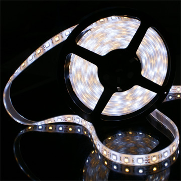 Color Temperature Adjustable 5050 LED Strip Light