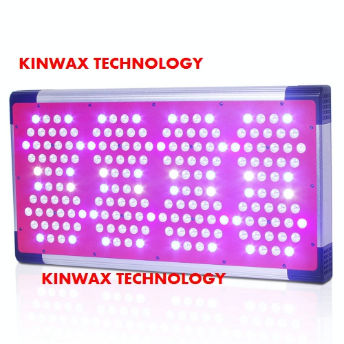 Garden Lights LED (KEP008)