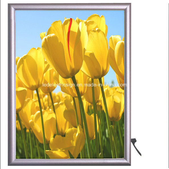 Aluminum Frame of LED Slim Light Box
