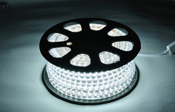 Modern Super Bright 22lm SMD2835 LED Strip Light