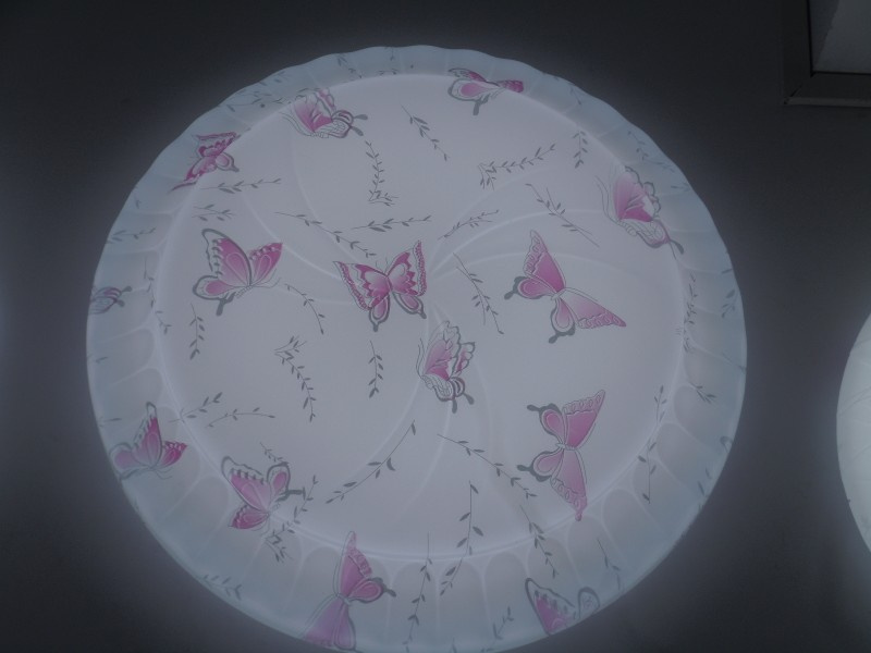 15W 18W 20W 22W 24W 32W 36W LED Ceiling Light