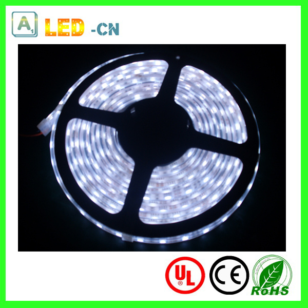 300LEDs 5050 LED Strip Lights