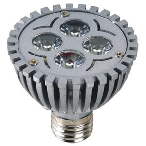 LED Spotlight (TP-S01-004W02)