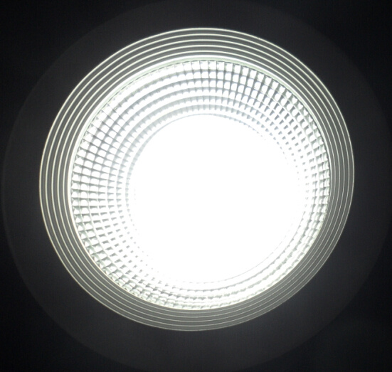 COB 20W LED Down Light