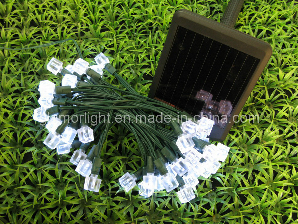 LED Solar Garden Light (G12 gift box)