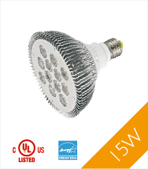 UL PAR38 LED Spotlight, LED PAR38