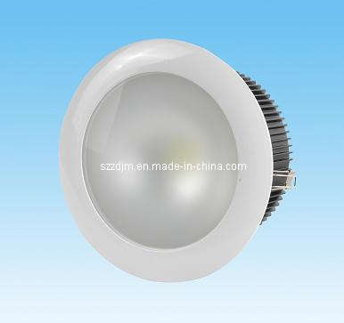 30W LED Down Lamp Light