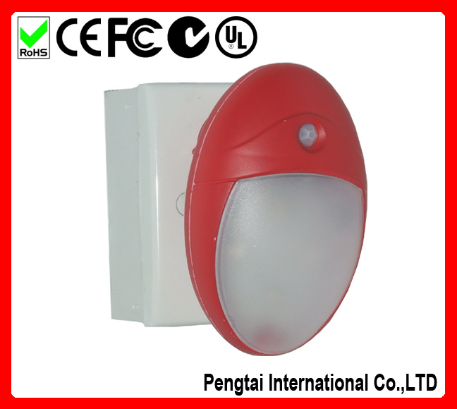 LED Night Light