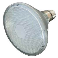 LED Spotlight (PAR38)