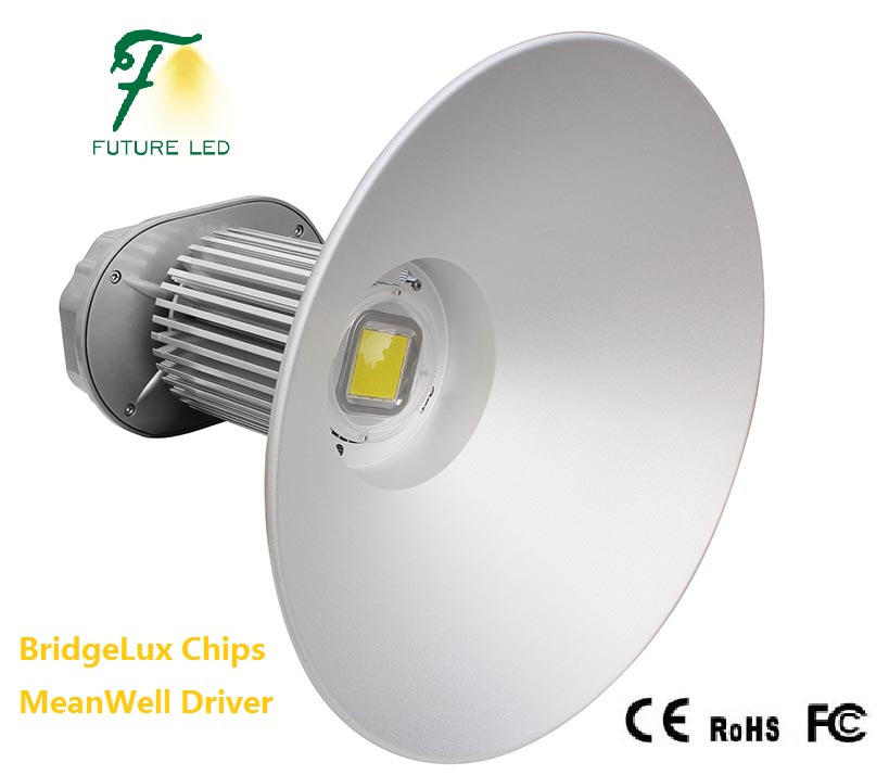 30W 50W 80W 100W 120W LED High Bay Light