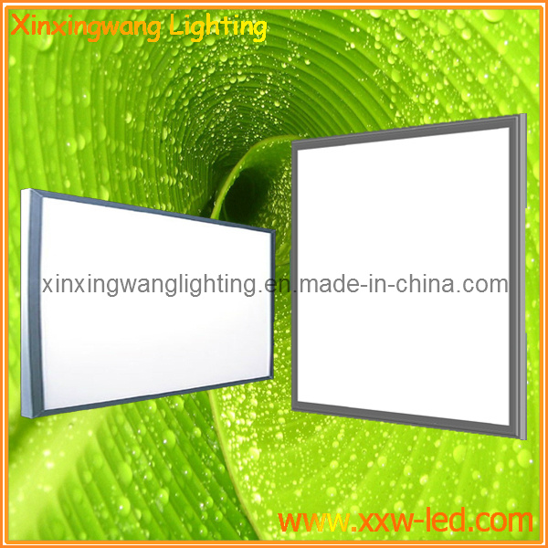 Professional LED Panel Lights (XXW-PL-3060)