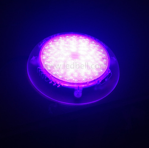 Surface Wall Mounted LED Swimming Pool Lights