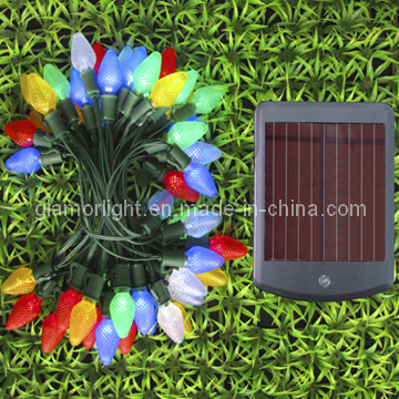 LED Solar Garden Light (C7 Cover)