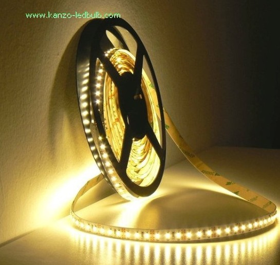 Warm White IP20 IP65 SMD LED Strip Light (5050)