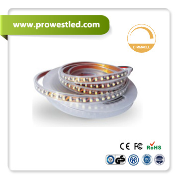 DC12V SMD5050 LED Strip Light with Double Face PCB (PW7451)